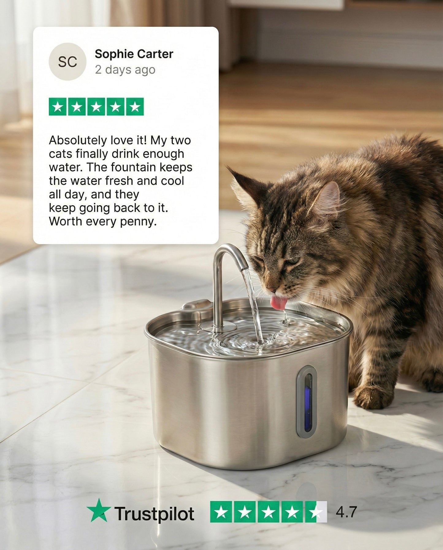 Felioh™ Cat Water Fountain