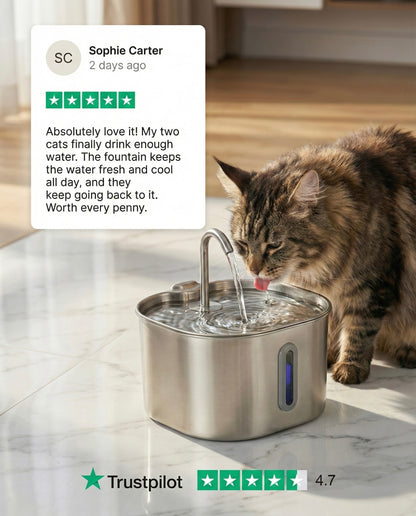 Felioh™ Cat Water Fountain